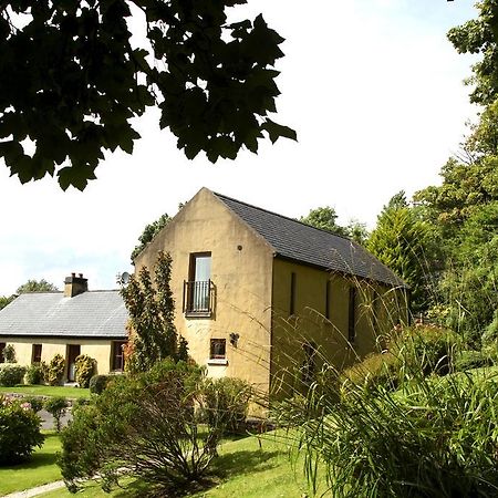 Woodbine Cottage Westport Dış mekan fotoğraf