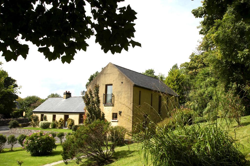 Woodbine Cottage Westport Dış mekan fotoğraf